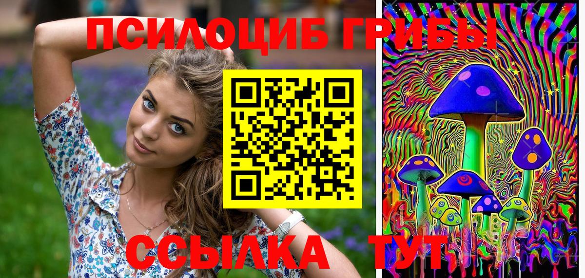 Ялта  Галлюциногенные грибы Psilocybine cubensis  Вход с VPN 